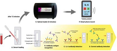 Corrigendum: A Paper-Based IL-6 Test Strip Coupled With a Spectrum-Based Optical Reader for Differentiating Influenza Severity in Children